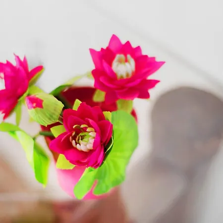 Nido Sobre El Barranco Piso Bali איקוד דה לוס וינוס